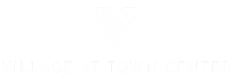 Company Logo - Footer