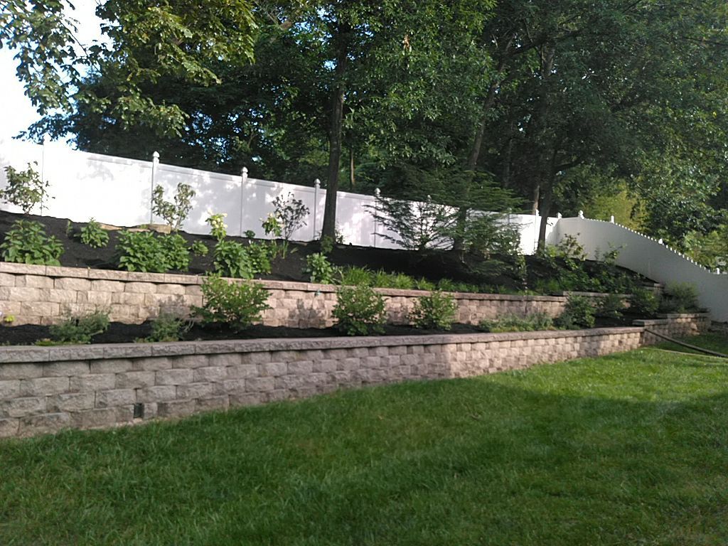 Boxwood — Arnold, MO — Red Oak Landscaping