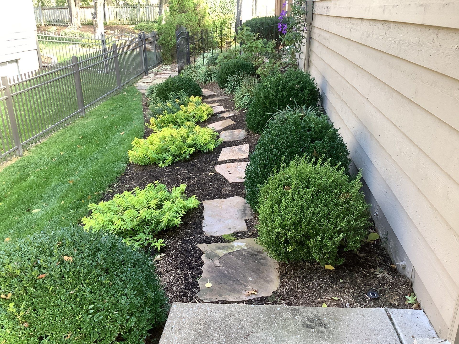 Beautiful Plants Beside Of The House — Arnold, MO — Red Oak Landscaping