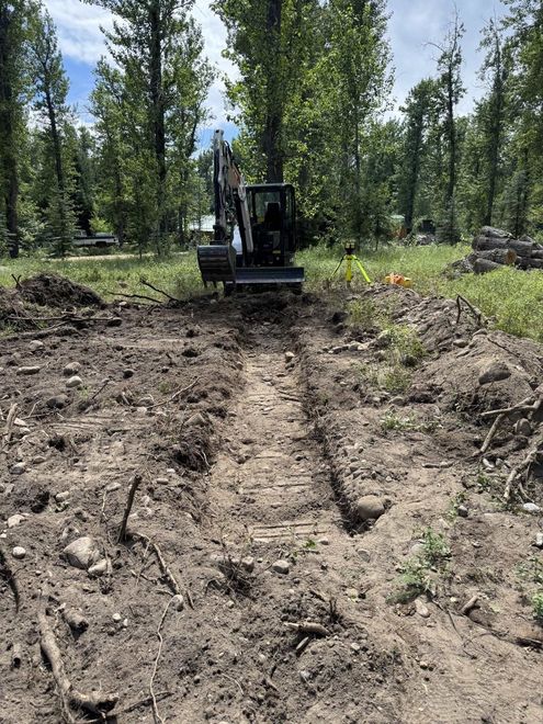 Bulldozer clearing a dirt path in a forested area with tall trees and brush piles nearby