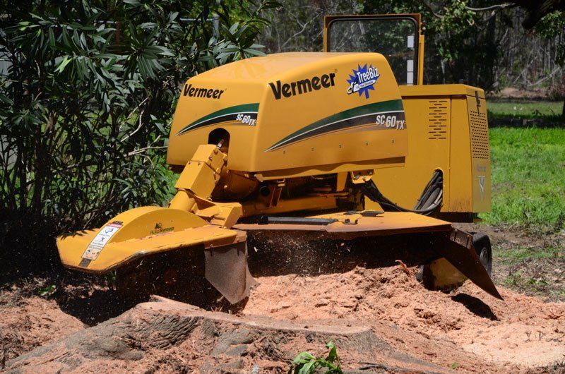 Stump grinder — Arborists in the Lockyer Valley, QLD