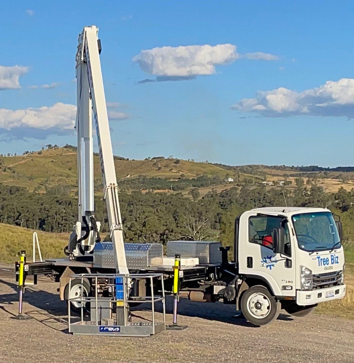 Big Tee in a Parking Lot - Arborists in the Lockyer Valley, QLD