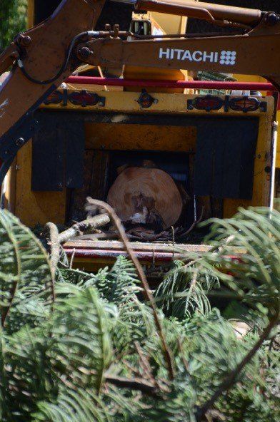 Tree Mulching in Progress  - Arborists in the Lockyer Valley, QLD