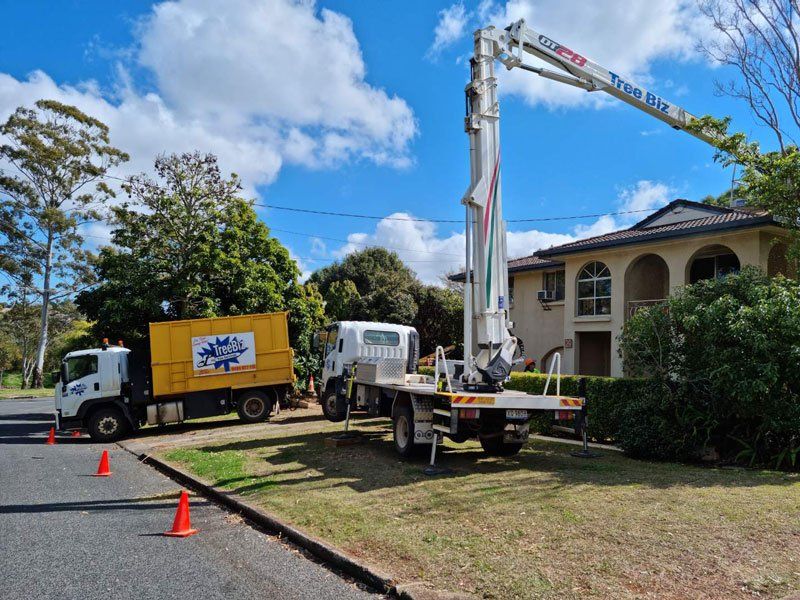 Large crane cutting branches — Arborists in the Lockyer Valley, QLD