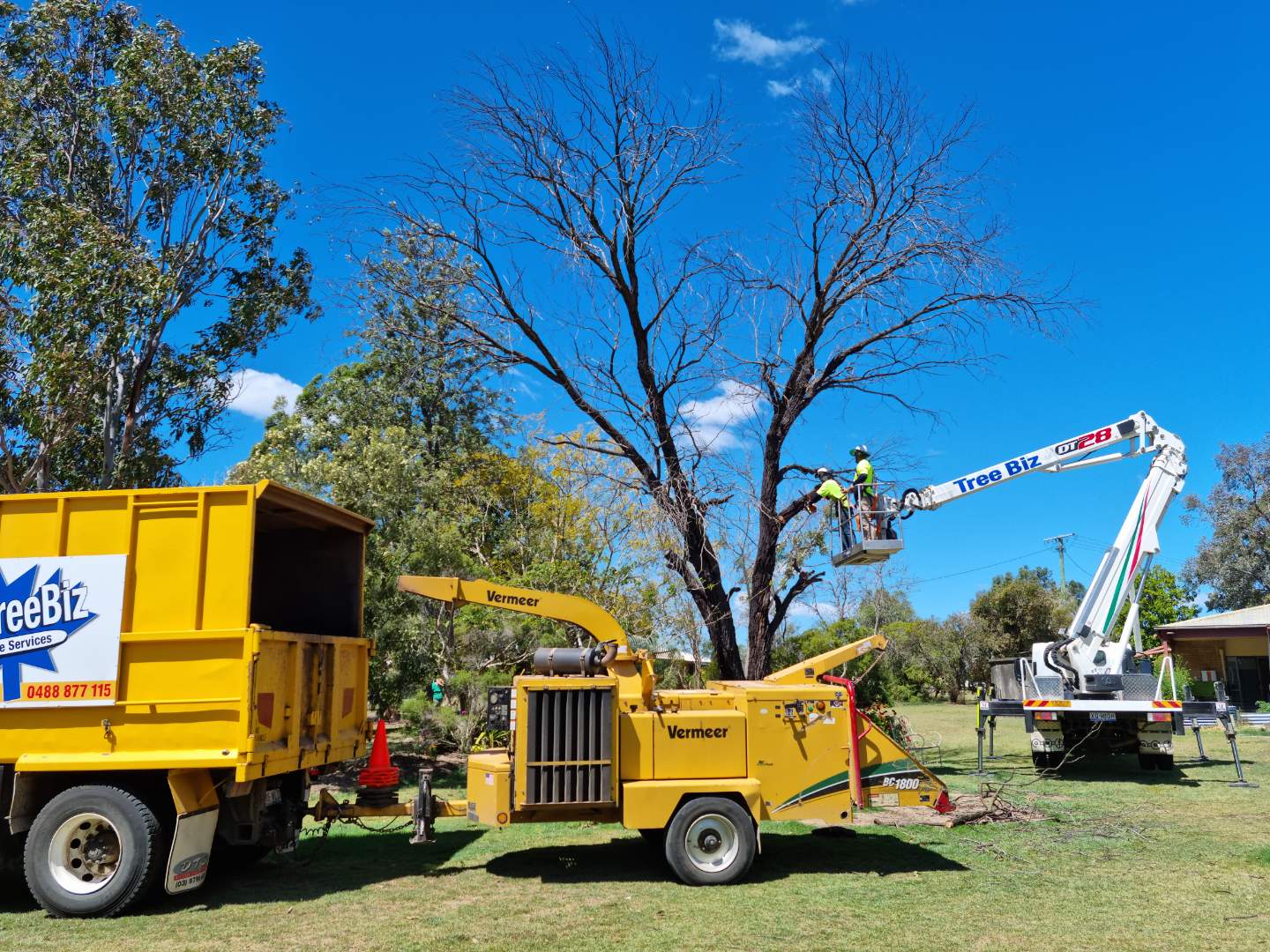 Tree Body Lifted - Tree Removals in the Lockyer Valley, QLD
