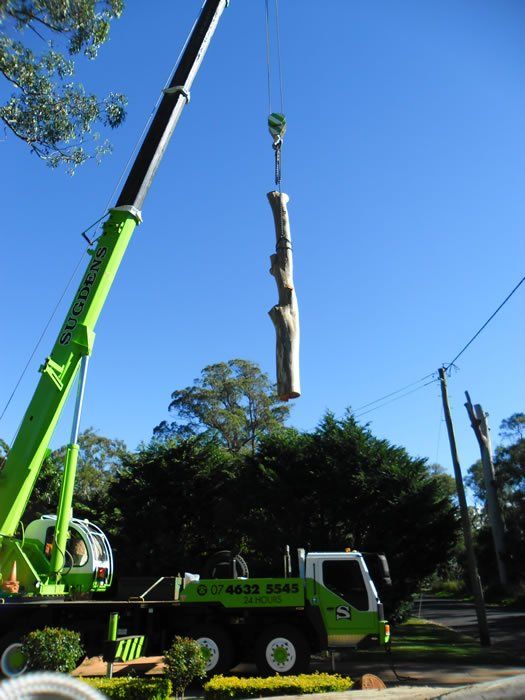 Truck lifting a Cutted Tree - Arborists in the Lockyer Valley, QLD