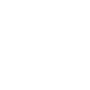Paradise Dunes Fish Logo