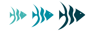 Paradise Dunes fish logo