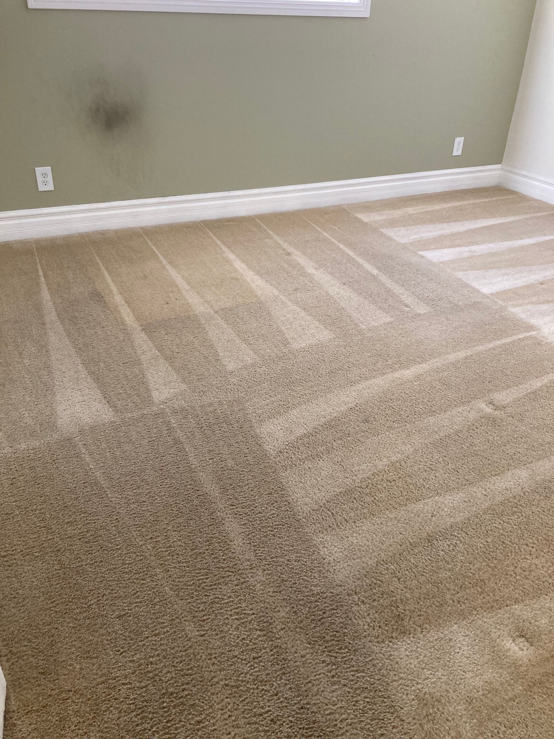 Empty beige carpeted room with a dark stain on the wall and bright sunlight casting striped shadows.