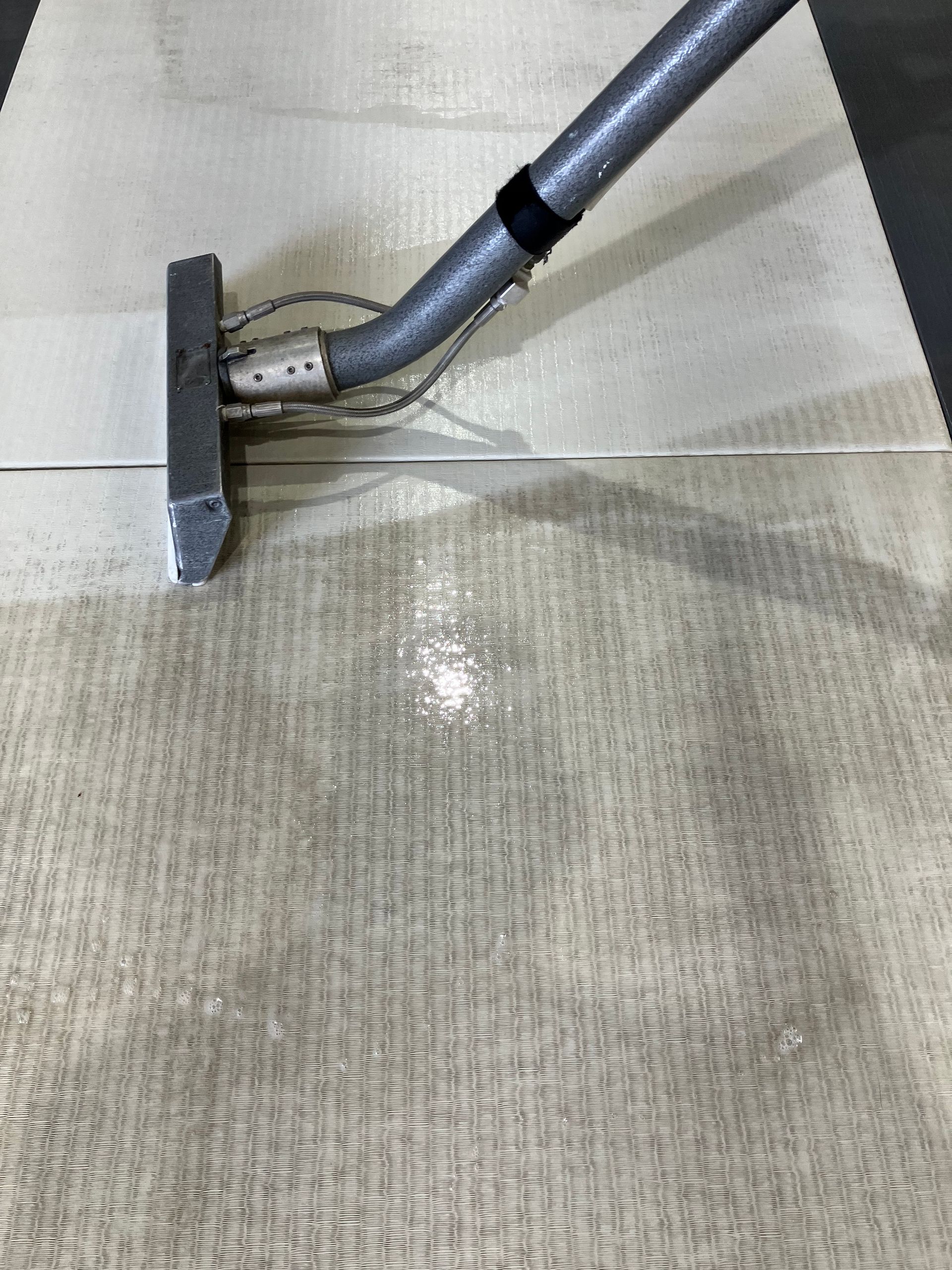 Floor cleaner vacuuming a beige carpet, leaving a damp clean strip behind.