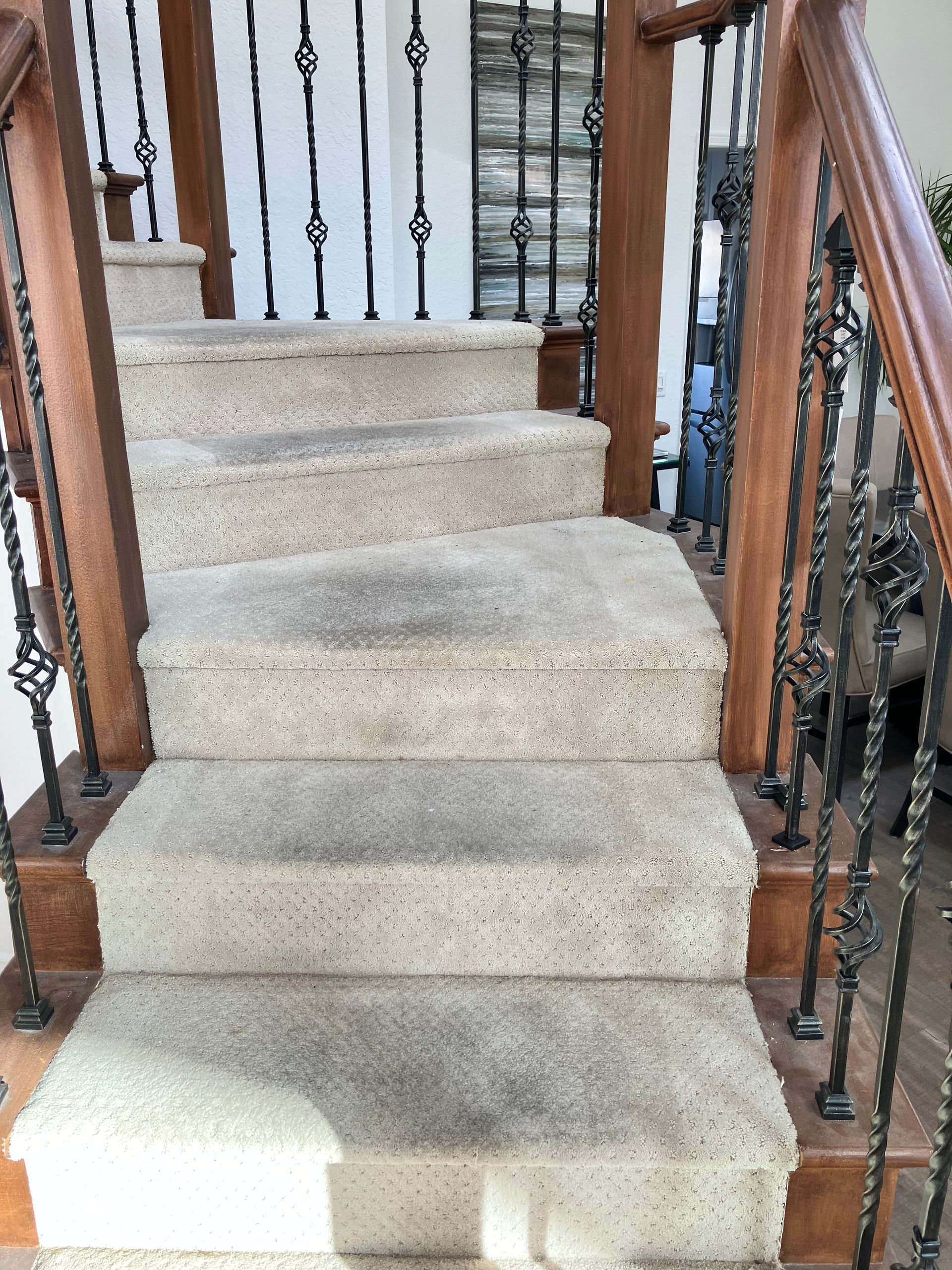Carpeted staircase with wooden banister and black iron railing indoors