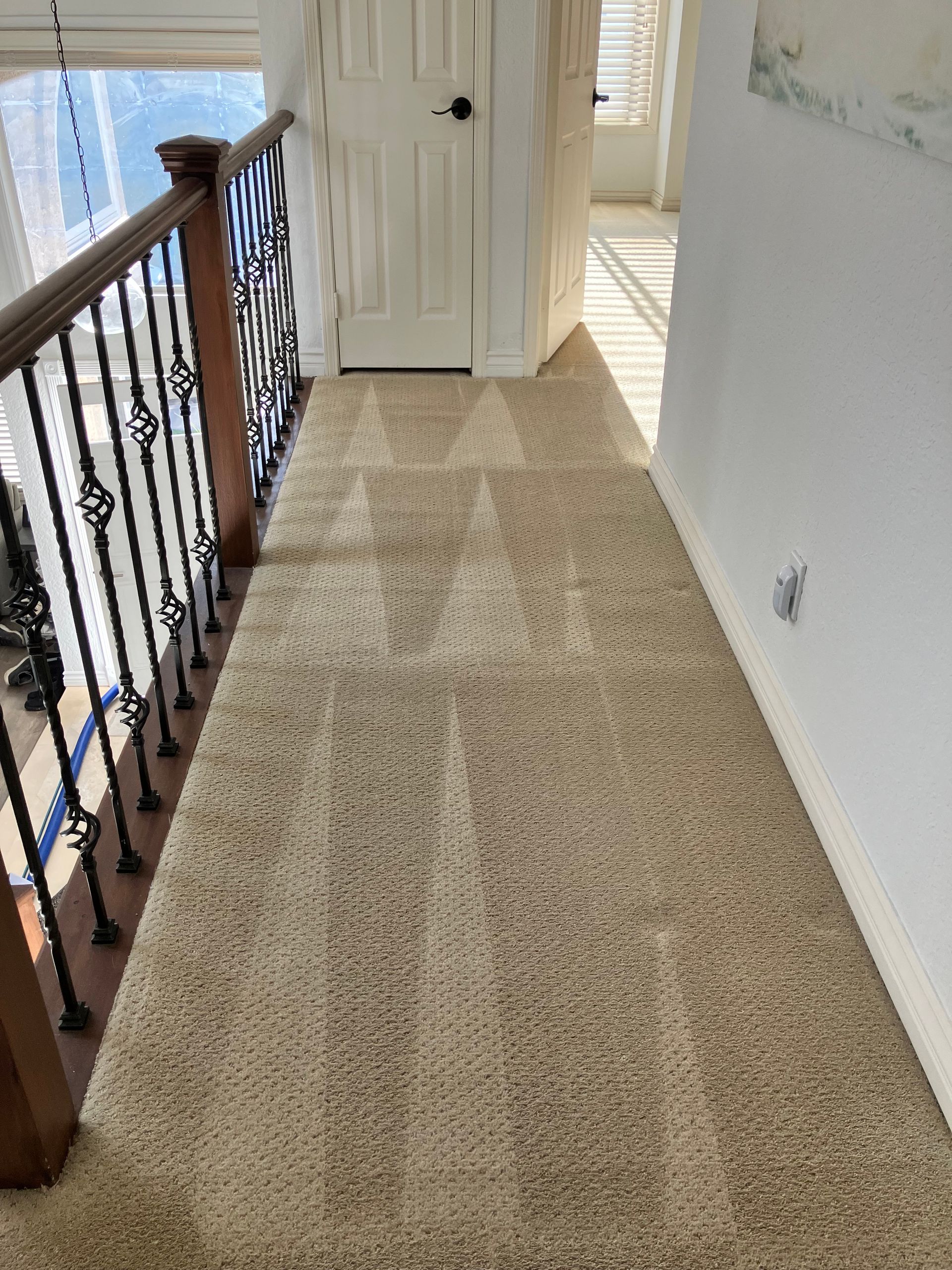 Carpeted upstairs hallway with white walls, wood banister, and sunlight from a window.