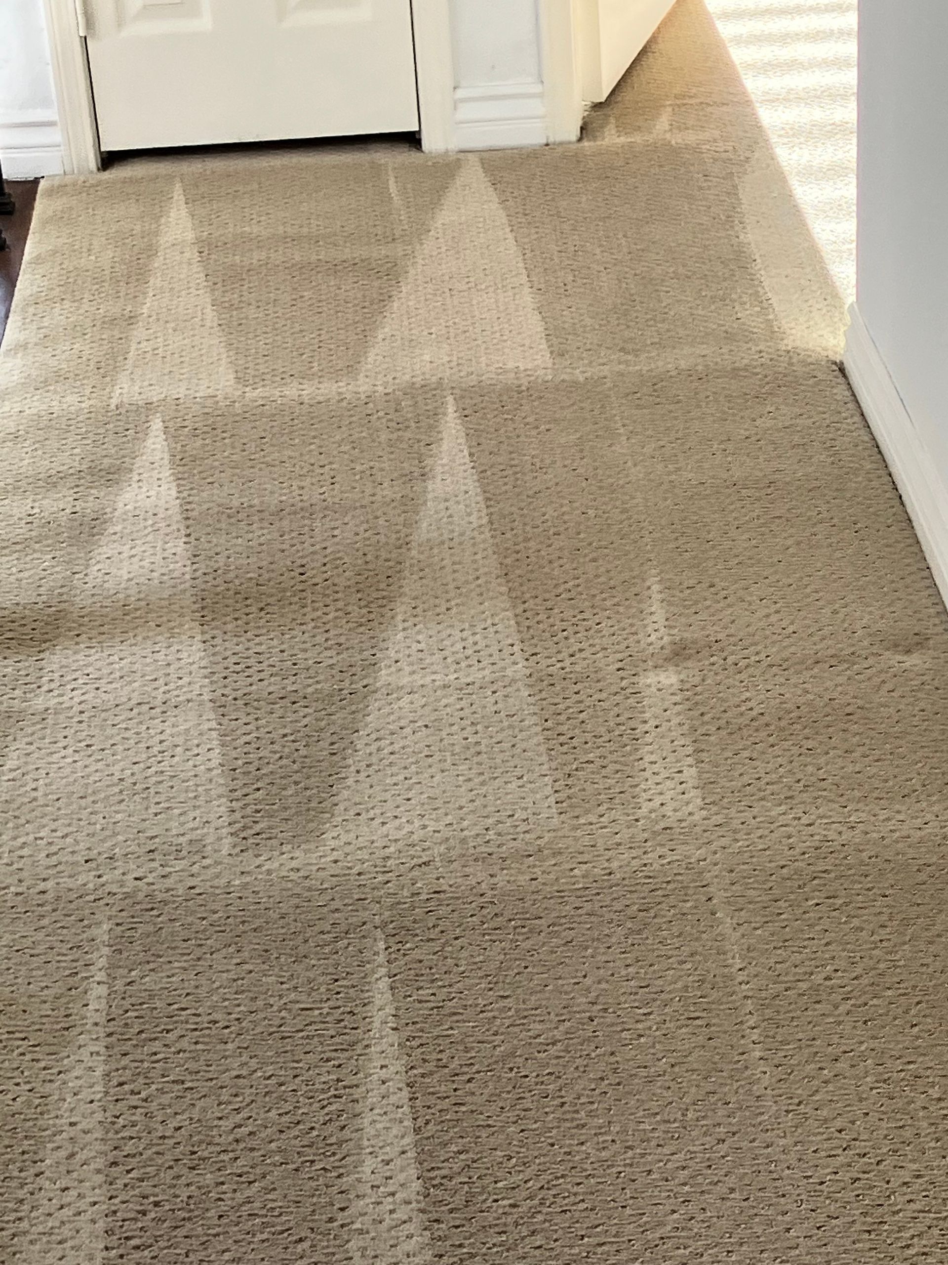 Patterned beige carpeted hallway with sunlight and a white door at the end