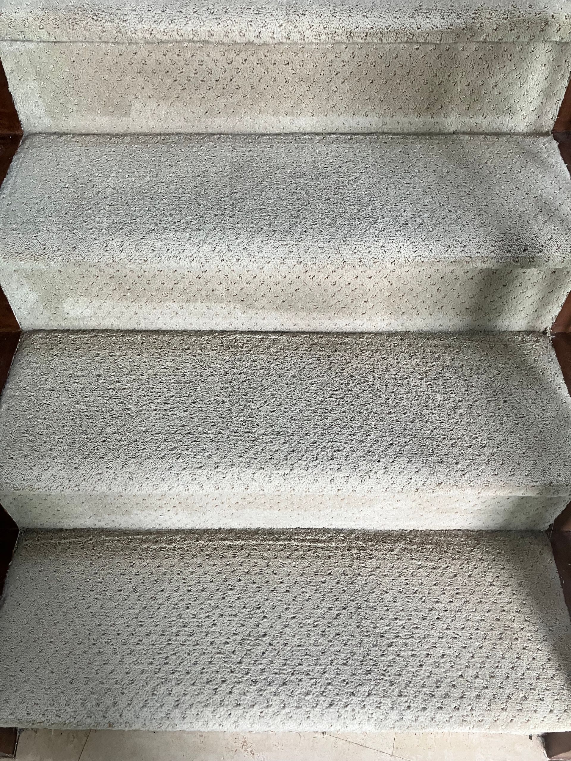 Close-up of speckled gray carpeted stairs indoors