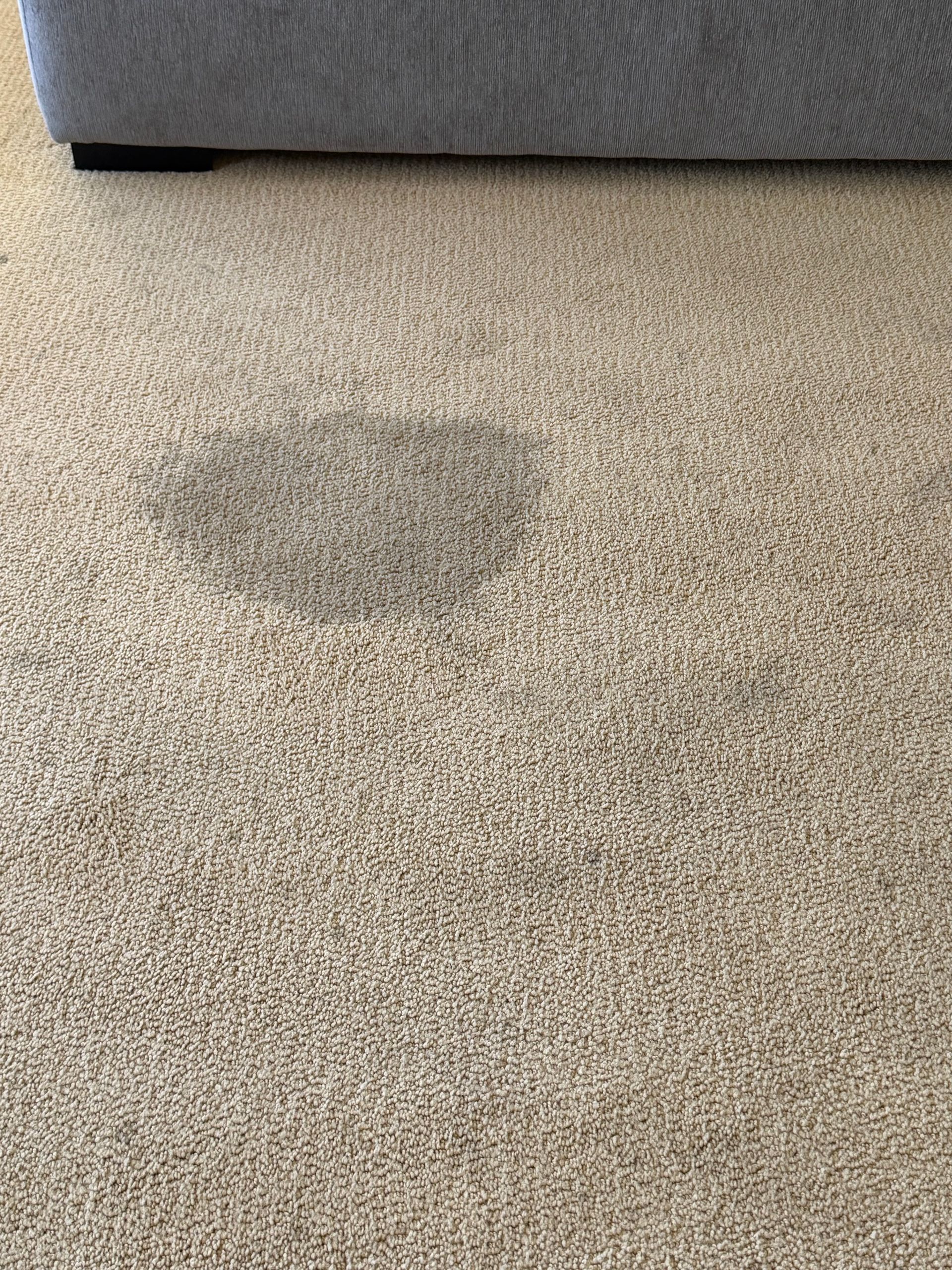Light beige carpet with a dark damp stain near a gray sofa.