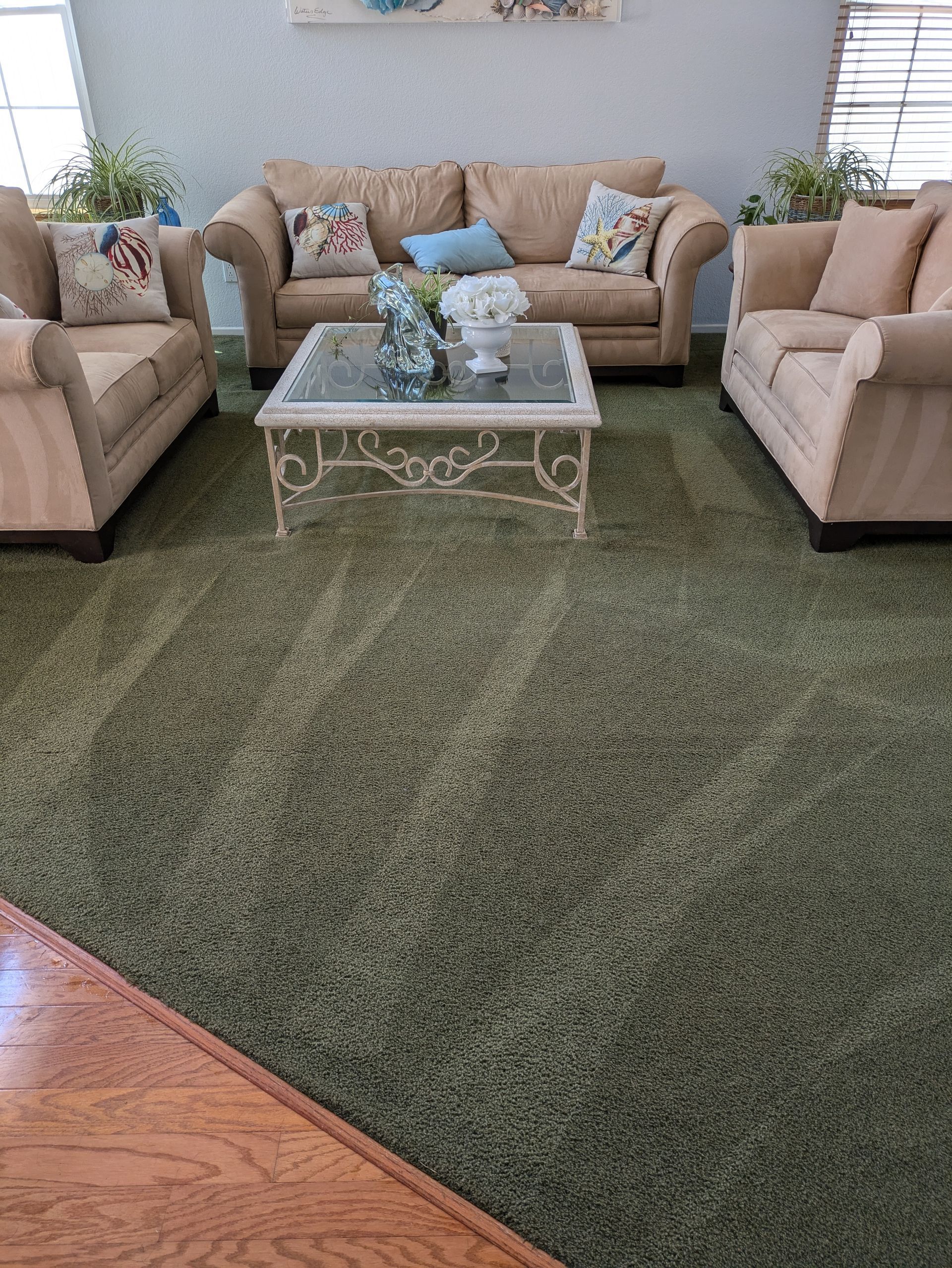 Living room seating area with beige sofas, glass coffee table, and green carpet