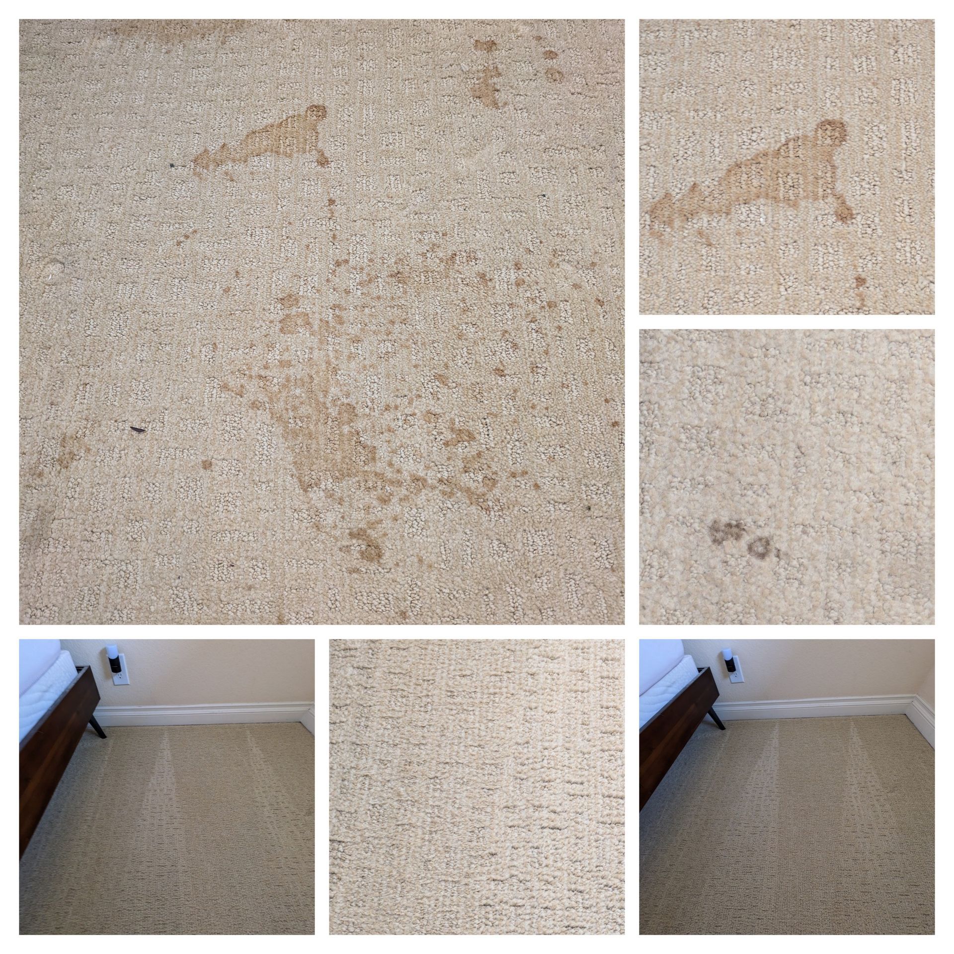 Collage of beige carpet stains and a small dark spot near a wall and baseboard in a room