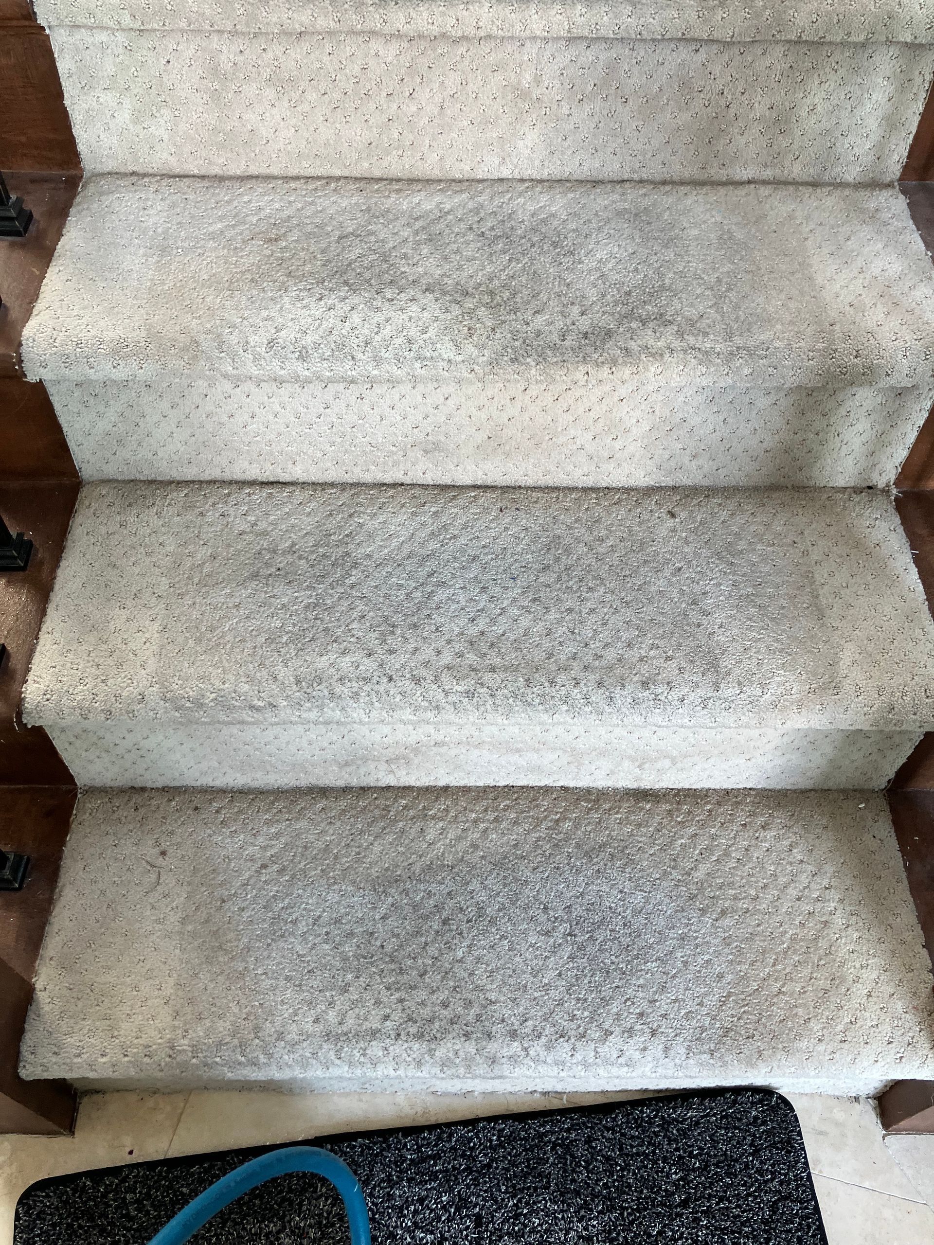 Carpeted stairs with beige runner and a blue cable at the bottom edge
