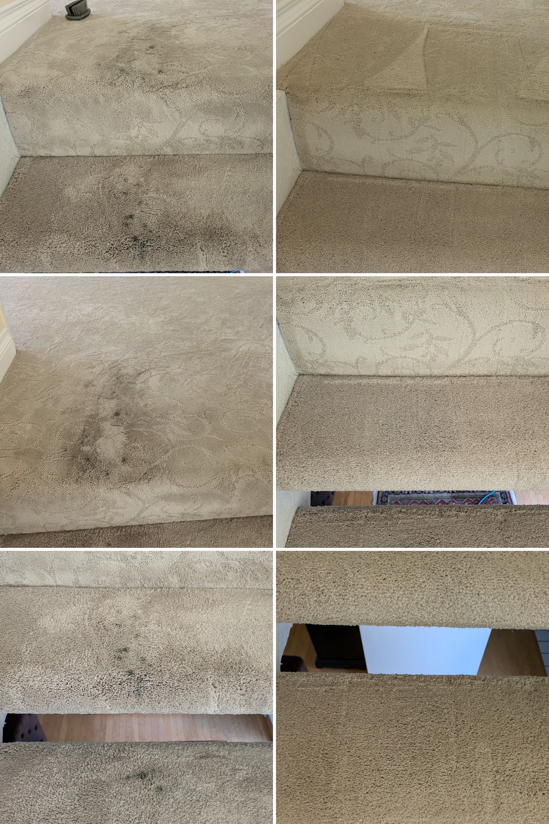 Collage of beige carpet stair edges showing wear, stains, and damaged sections near a doorway opening