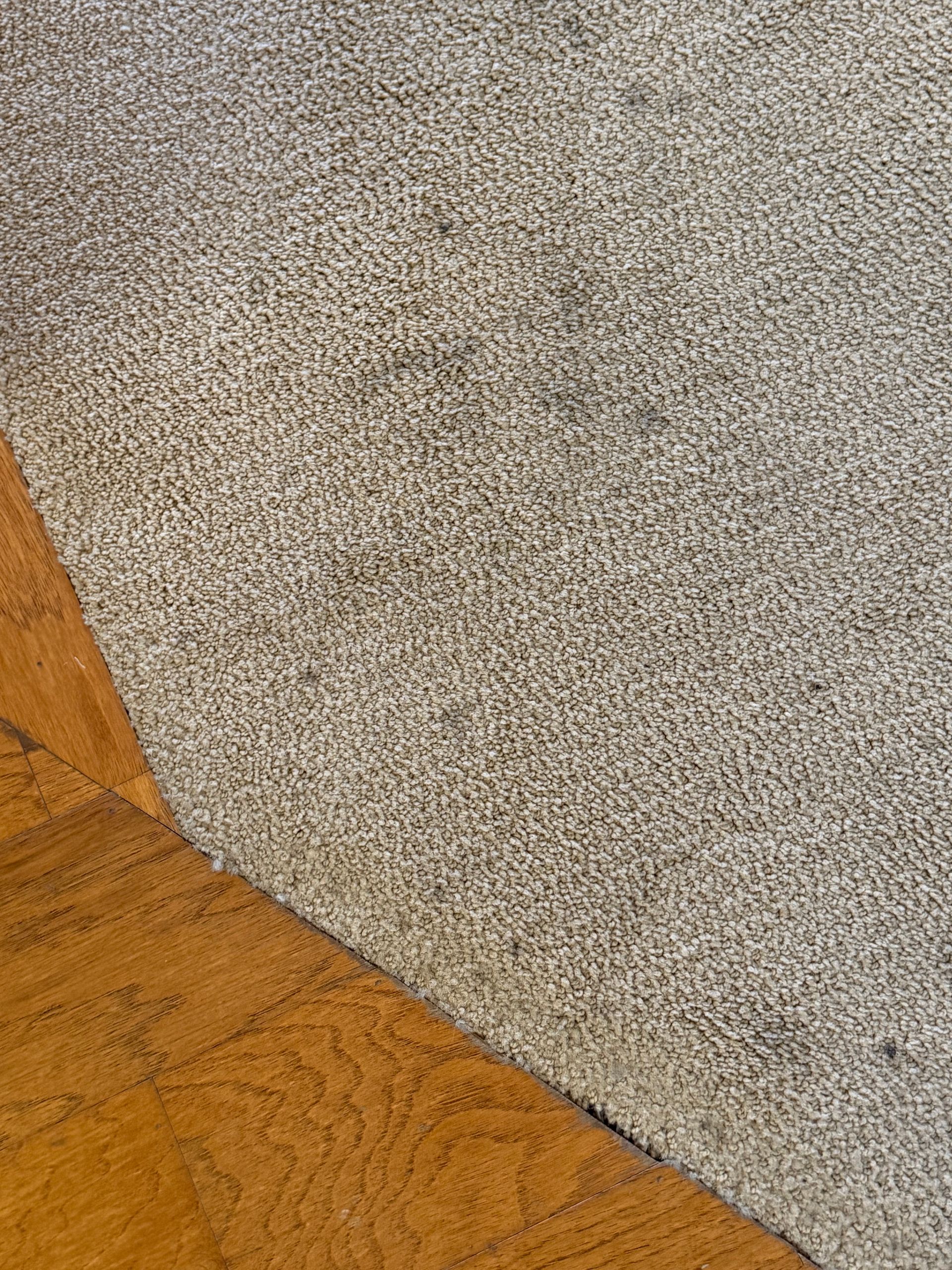 Close-up of a textured gray carpet beside a warm-toned wooden floor