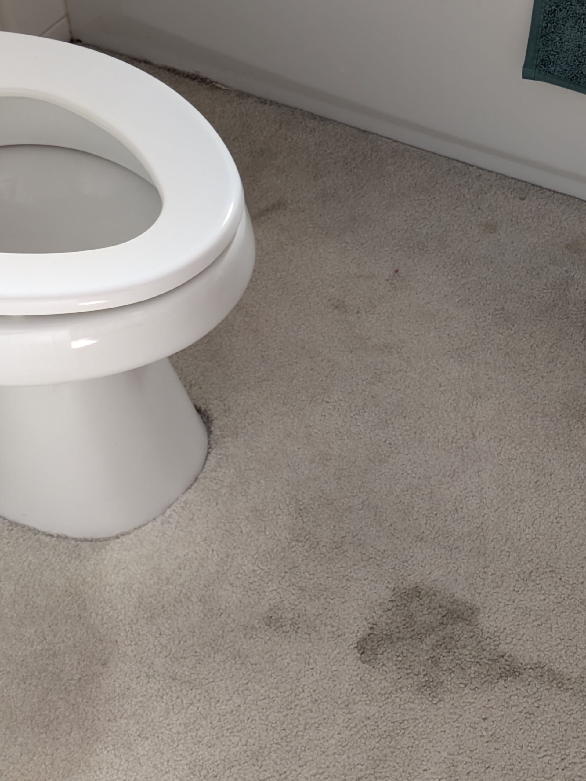 White toilet in a bathroom with a stained carpeted floor nearby.