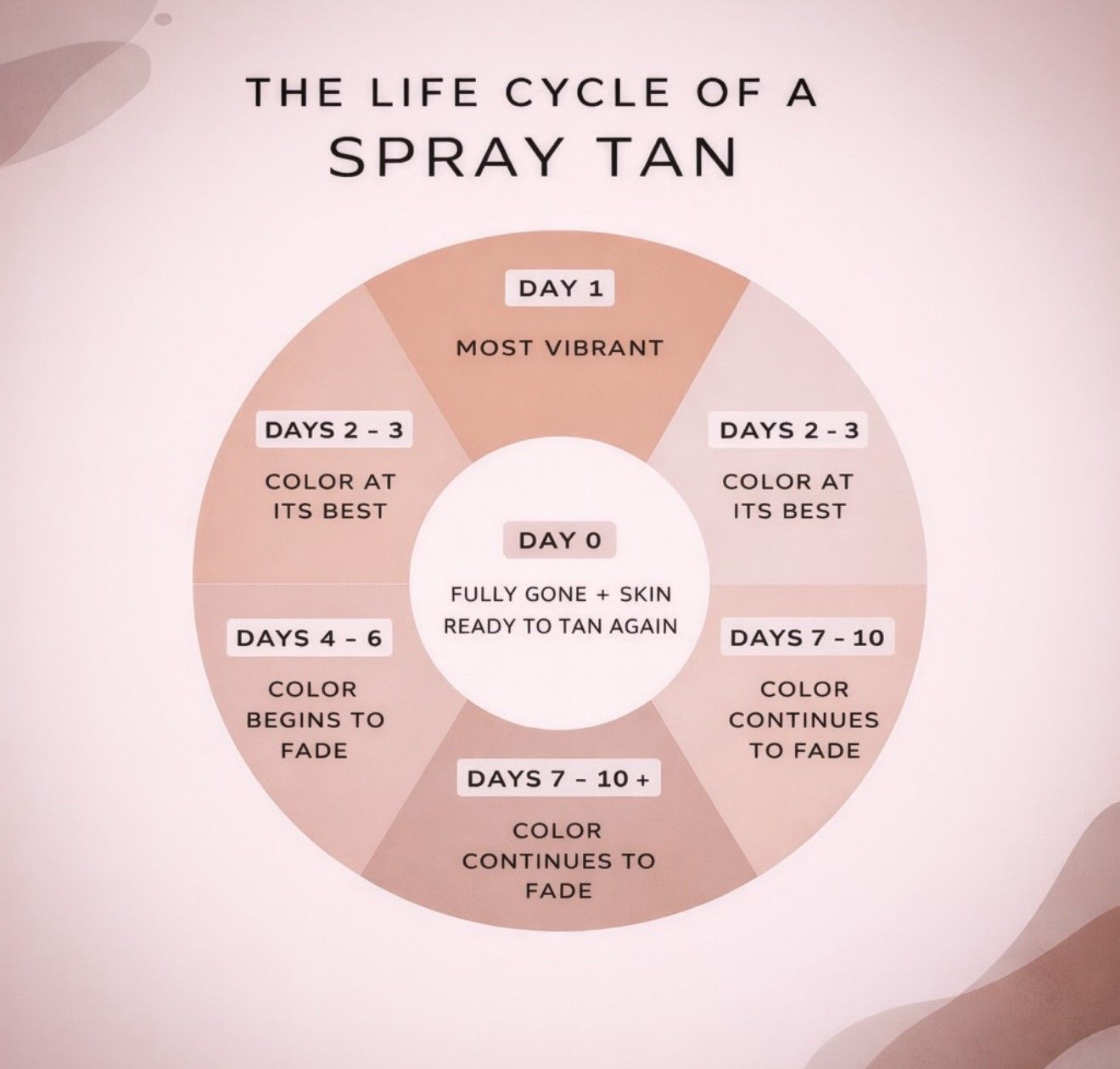 Infographic titled “The Life Cycle of a Spray Tan” showing tan fading over days 0–10+ in a circular chart