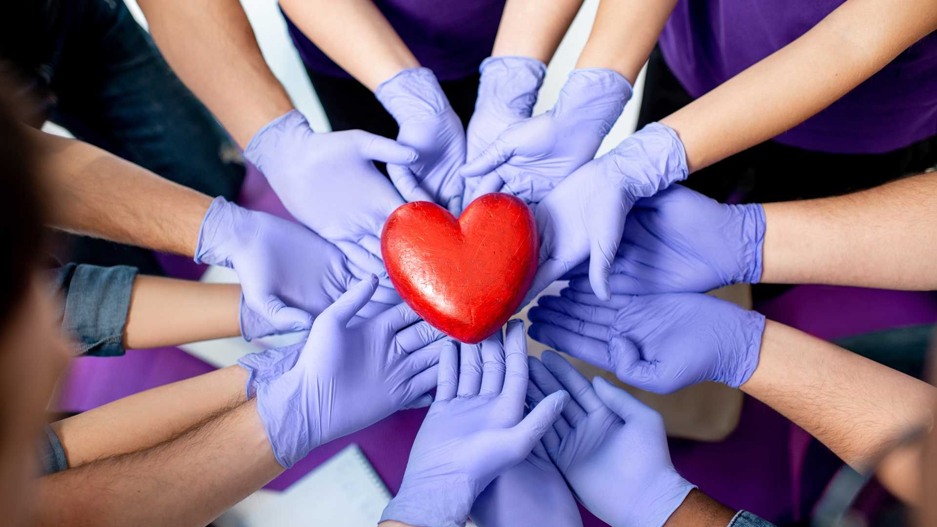 Hands in purple gloves cupping a red heart, symbolizing care and support.