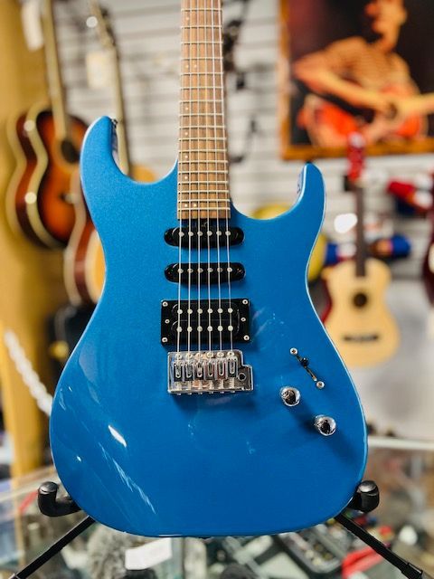 Washburn Pro X10 Series