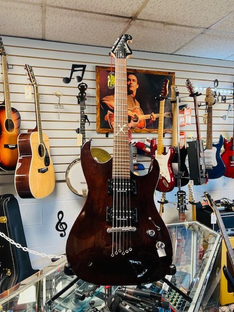 Washburn X-30