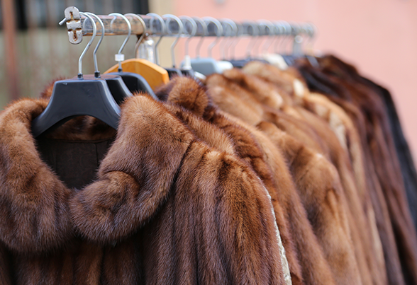 Fur Jackets — Morehead City, NC — Sunshine Cleaners & Laundry Fur Jackets — Morehead City, NC — Sunshine Cleaners & Laundry