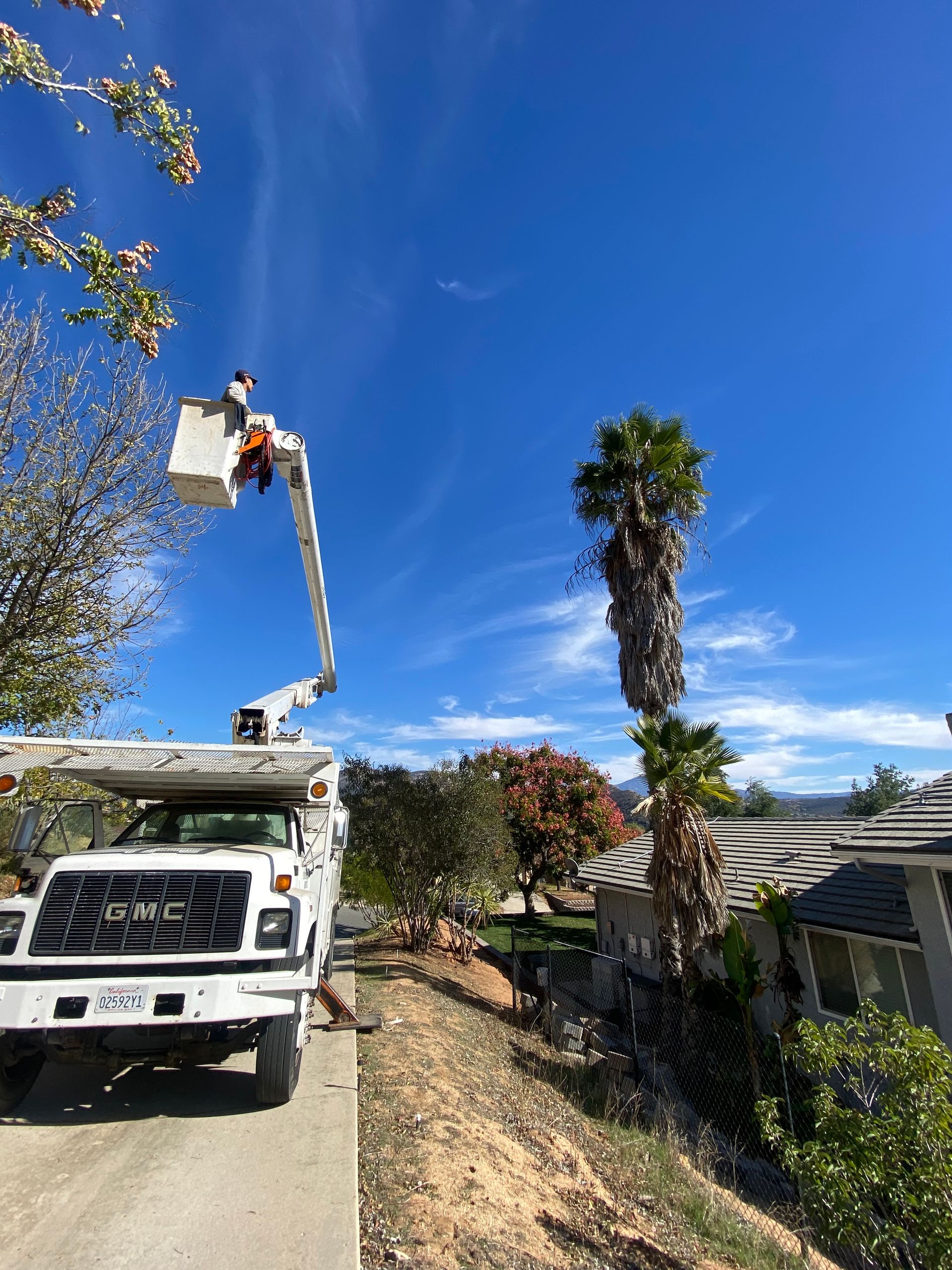 GALLERY Estates Tree Service San Diego & Imperial County, California