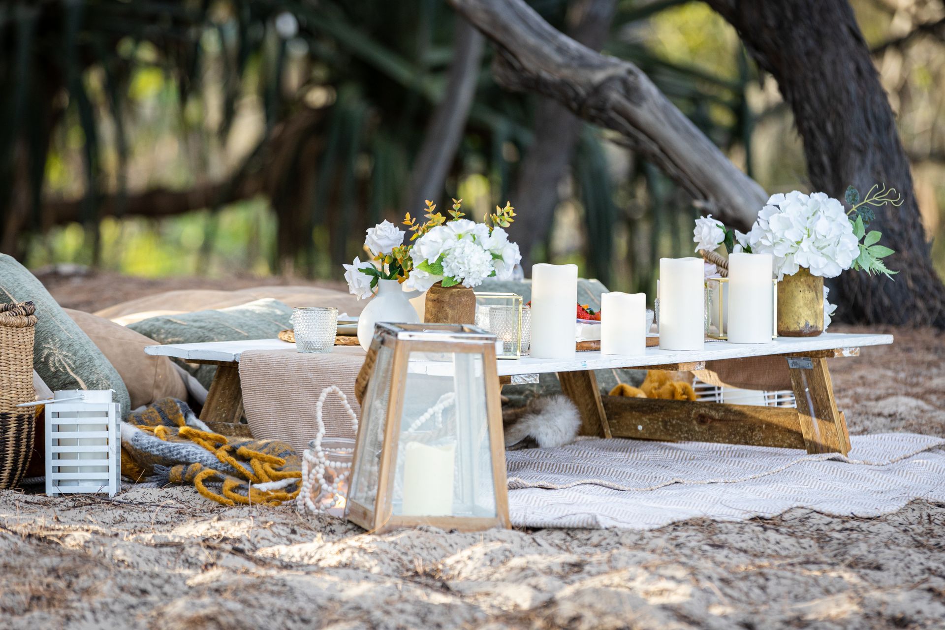 Gold Coast Engagement Picknick