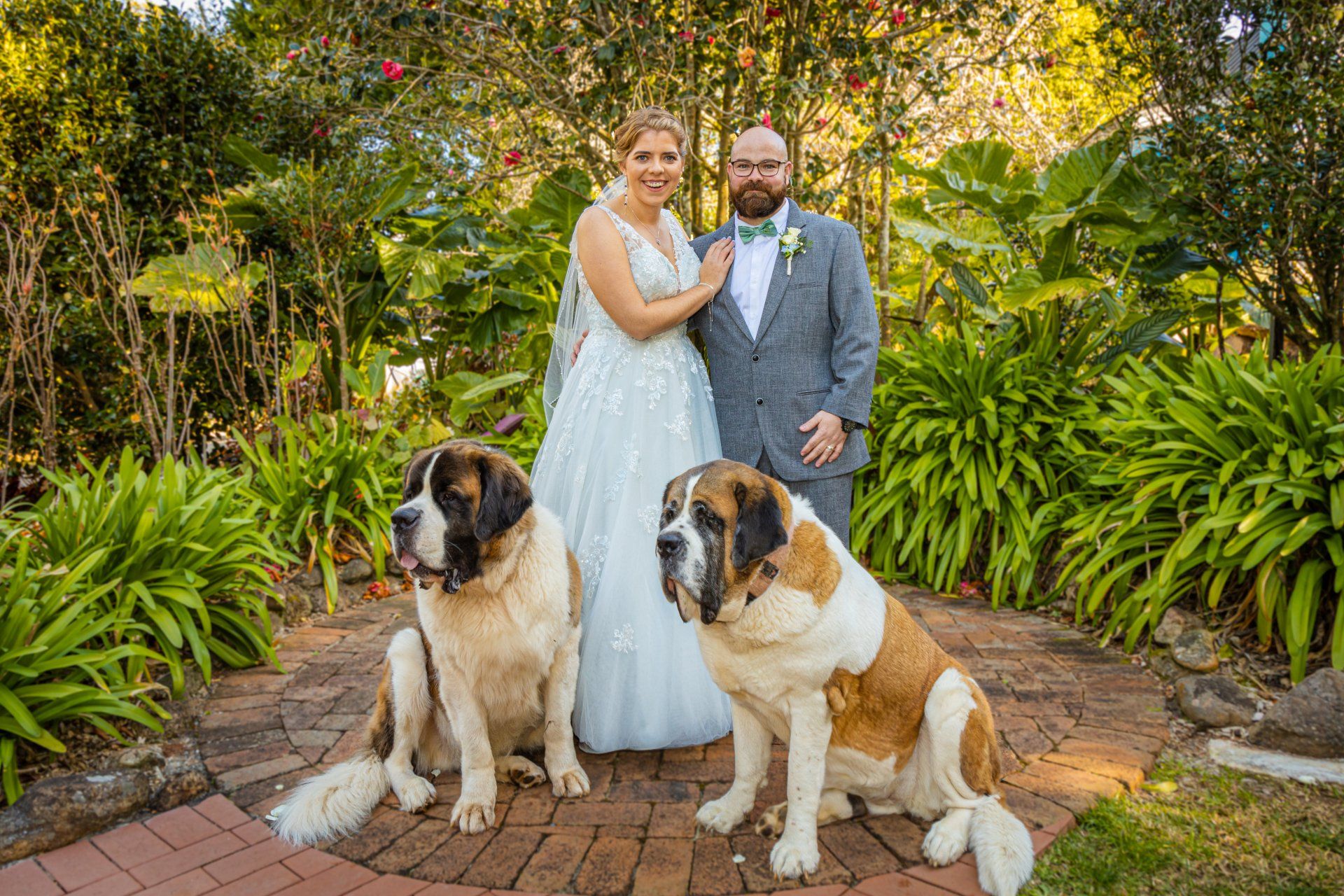 Wedding Videography St Bernards