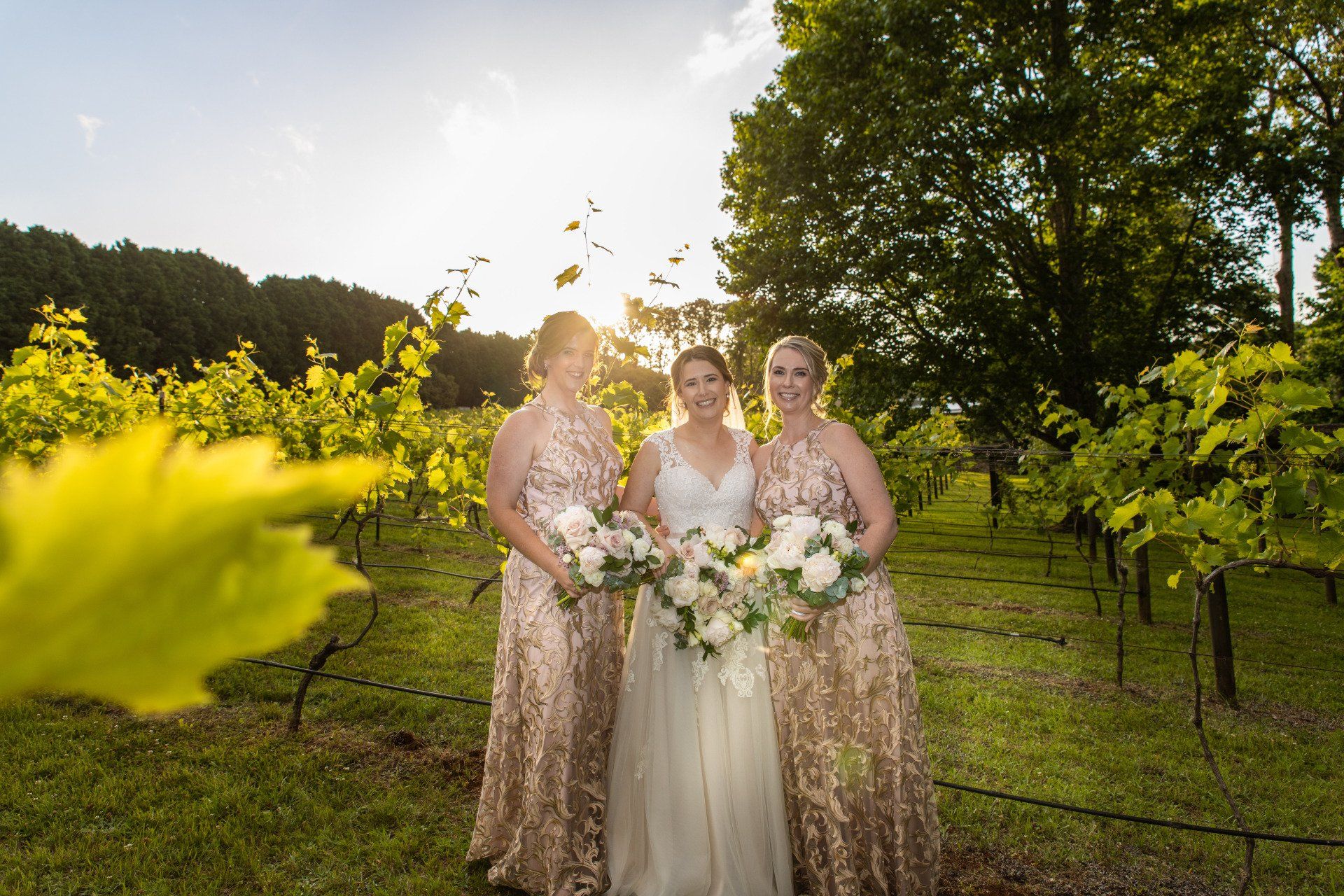 Winery Wedding SEQ