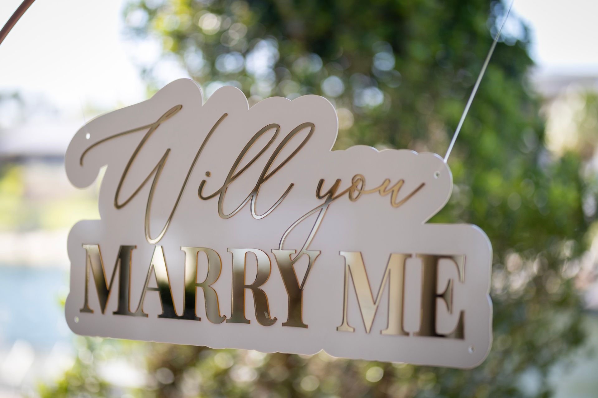 Brisbane Wedding Photos Engagement