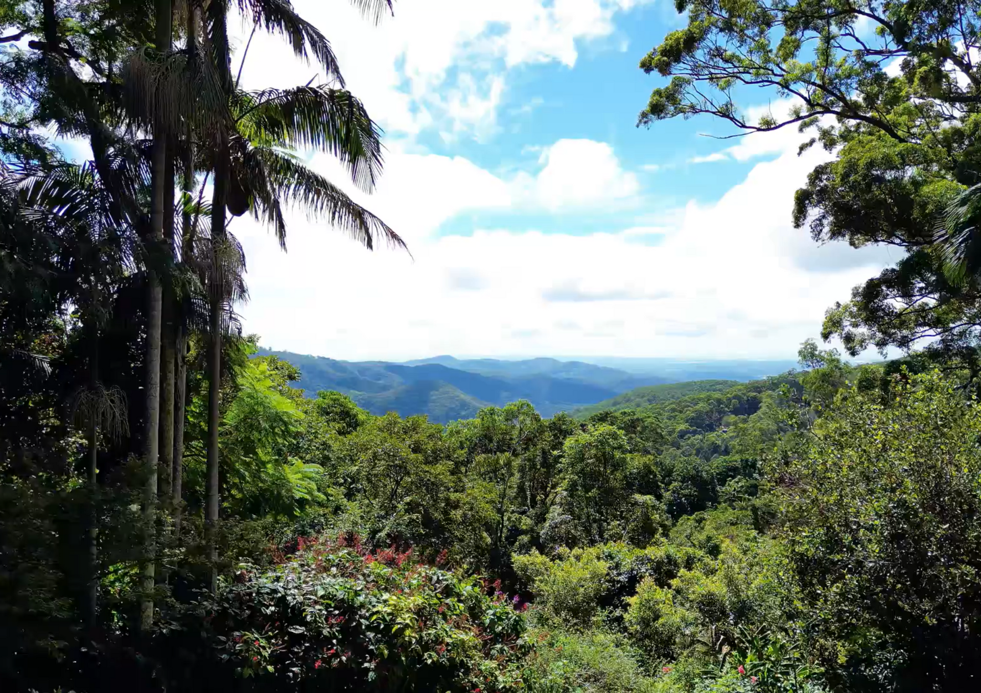 Gold Coast Hinterland Wedding Venue
