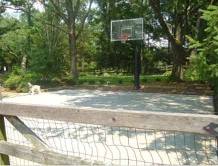 A basketball hoop is surrounded by trees and a wooden fence