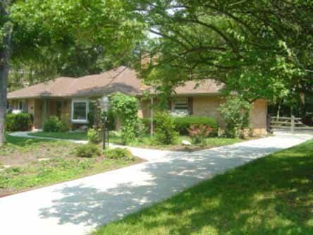 A house with a driveway leading to it is surrounded by trees