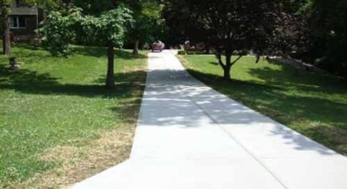 A concrete walkway in a park with trees on both sides