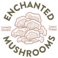 Mushroom Farm in Austin, TX | Enchanted Mushrooms Mushroom Farm in Austin, TX | Enchanted Mushrooms
