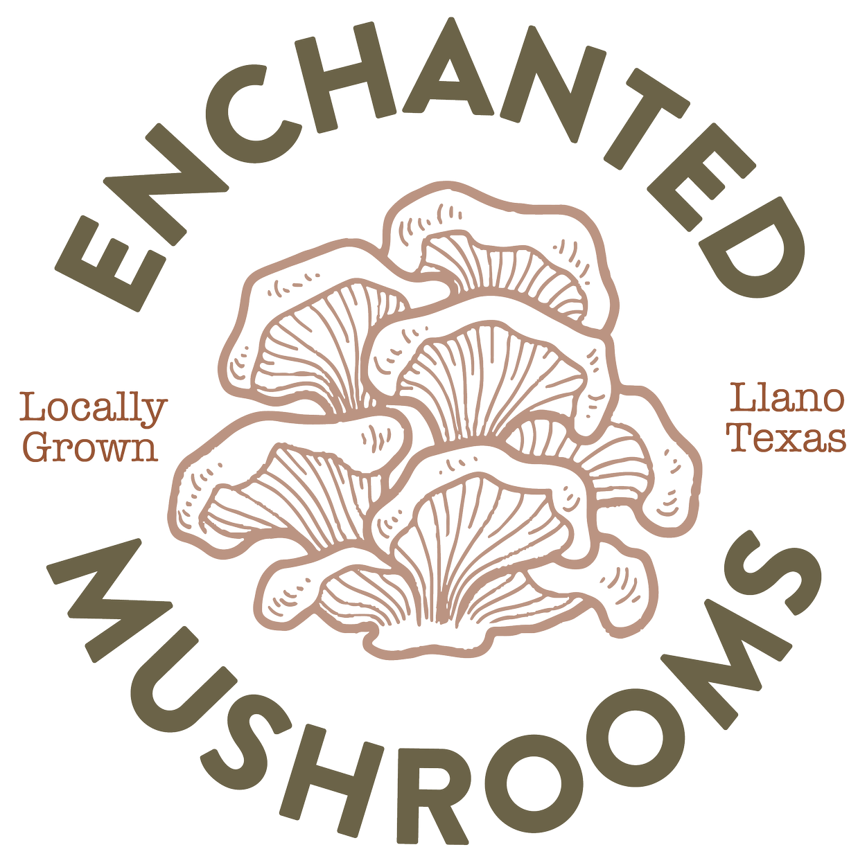 Mushroom Farm in Austin, TX | Enchanted Mushrooms