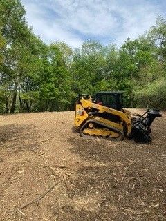 Forestry Mulching 1
