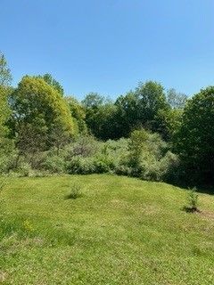 Forestry Mulching 2