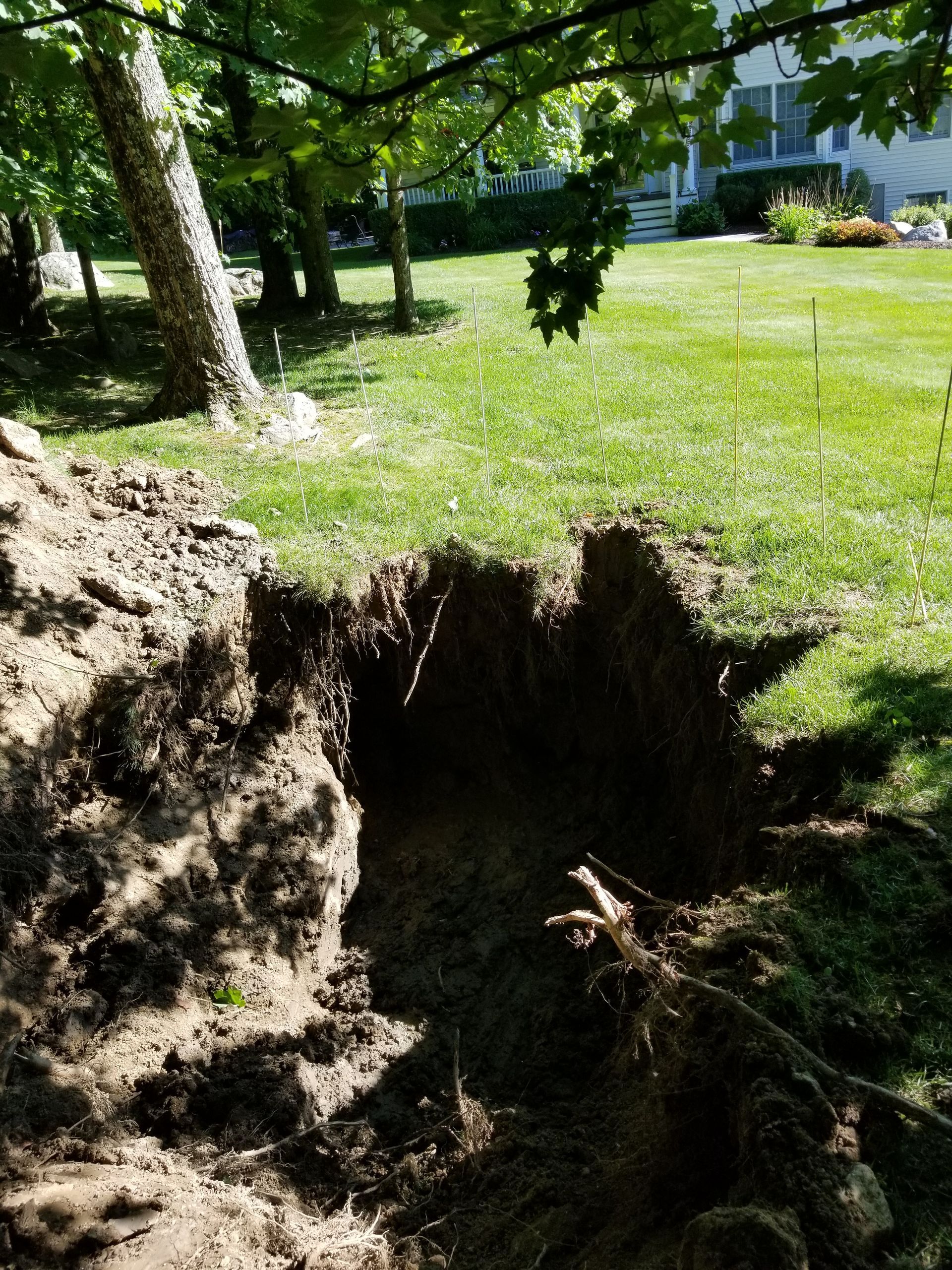 Large hole dug in grassy yard with tree and house in the background.