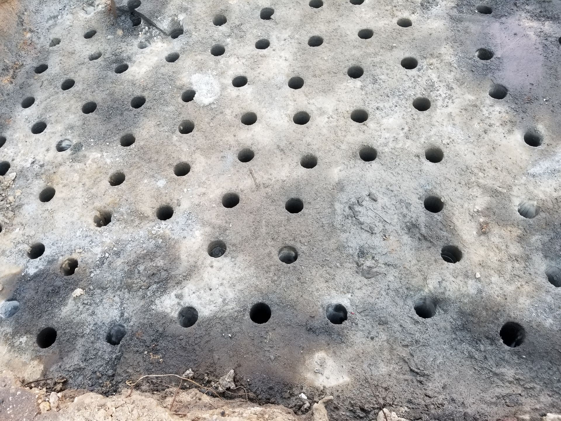 Stone surface with numerous evenly spaced, dark holes.