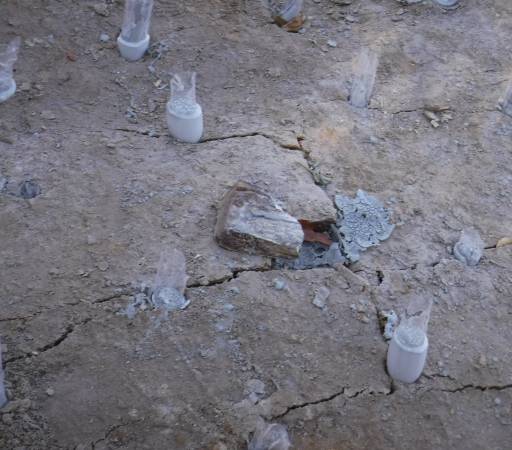 Cracked ground with several small, white, stalactite-like formations. A brick and debris lie among them.