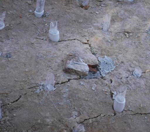 Overhead view of cracked, dusty ground with numerous small, upright, clear plastic containers partially embedded.