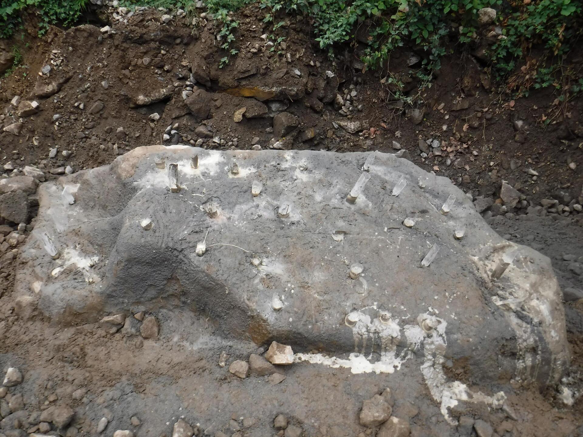 Large, gray, irregularly shaped stone partially buried in dark soil, near green vegetation.