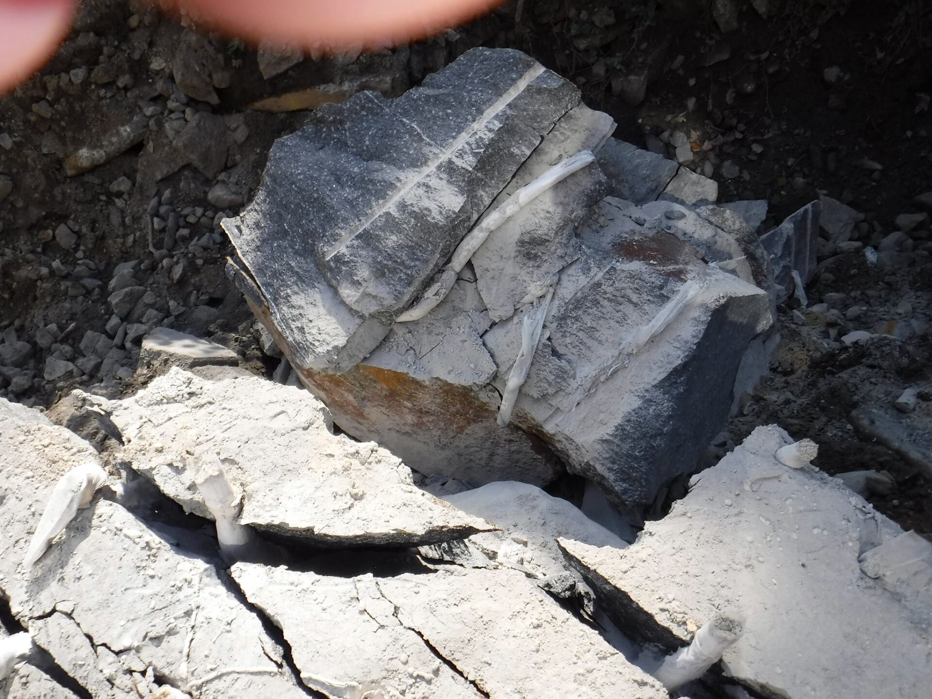 Gray rock with white veining, surrounded by broken pieces and debris.