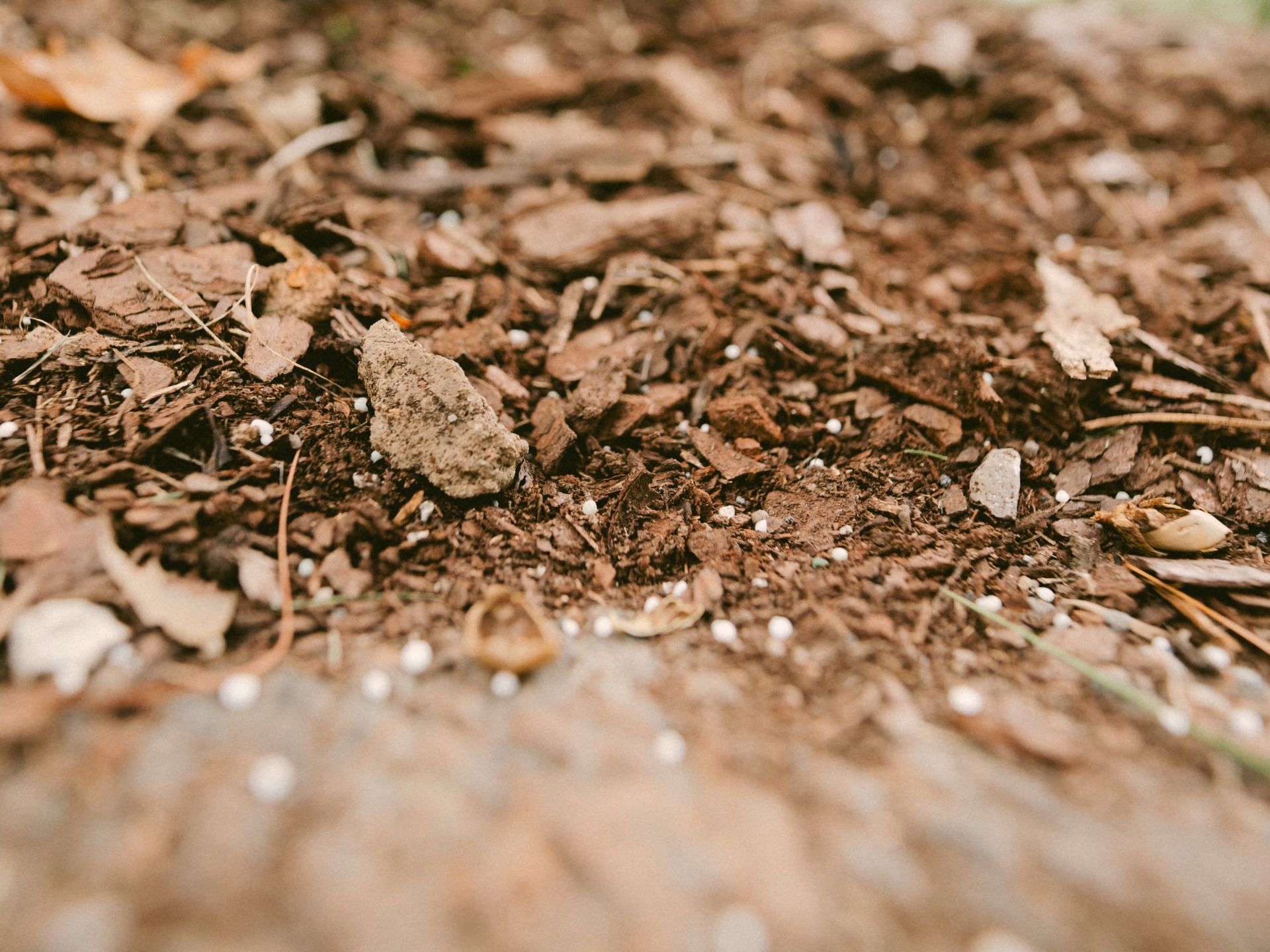 Close-up of brown mulch and wood chips with a shallow depth of field.